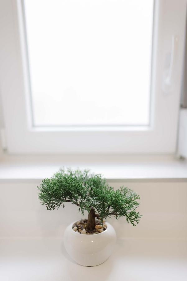 Ruza Apartmani ザダル エクステリア 写真